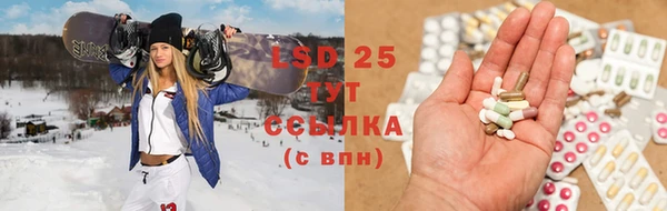 твердый Аркадак