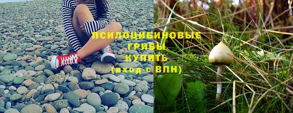 твердый Аркадак